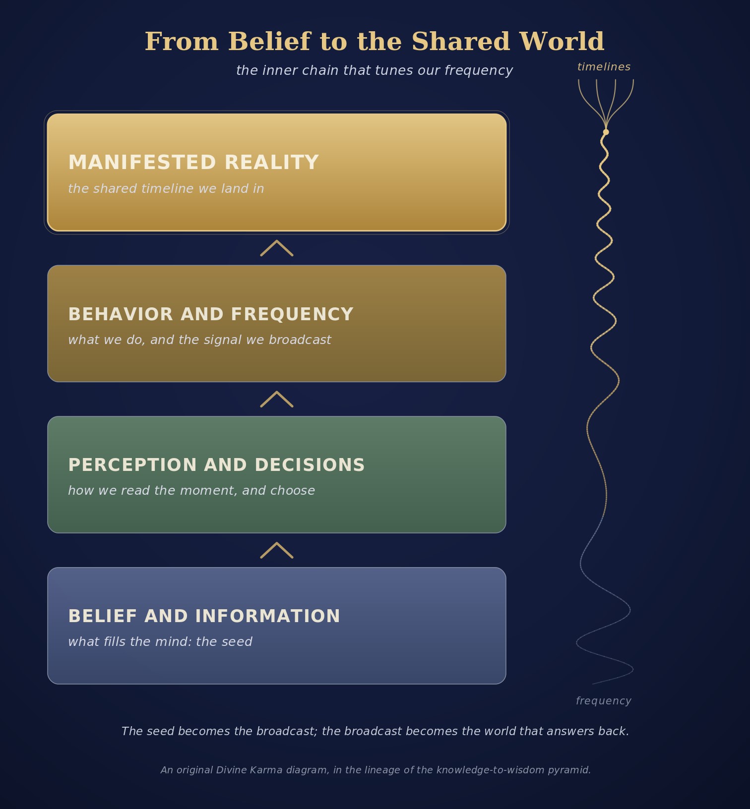 Belief and information becoming perception, behavior, frequency, and manifested reality
